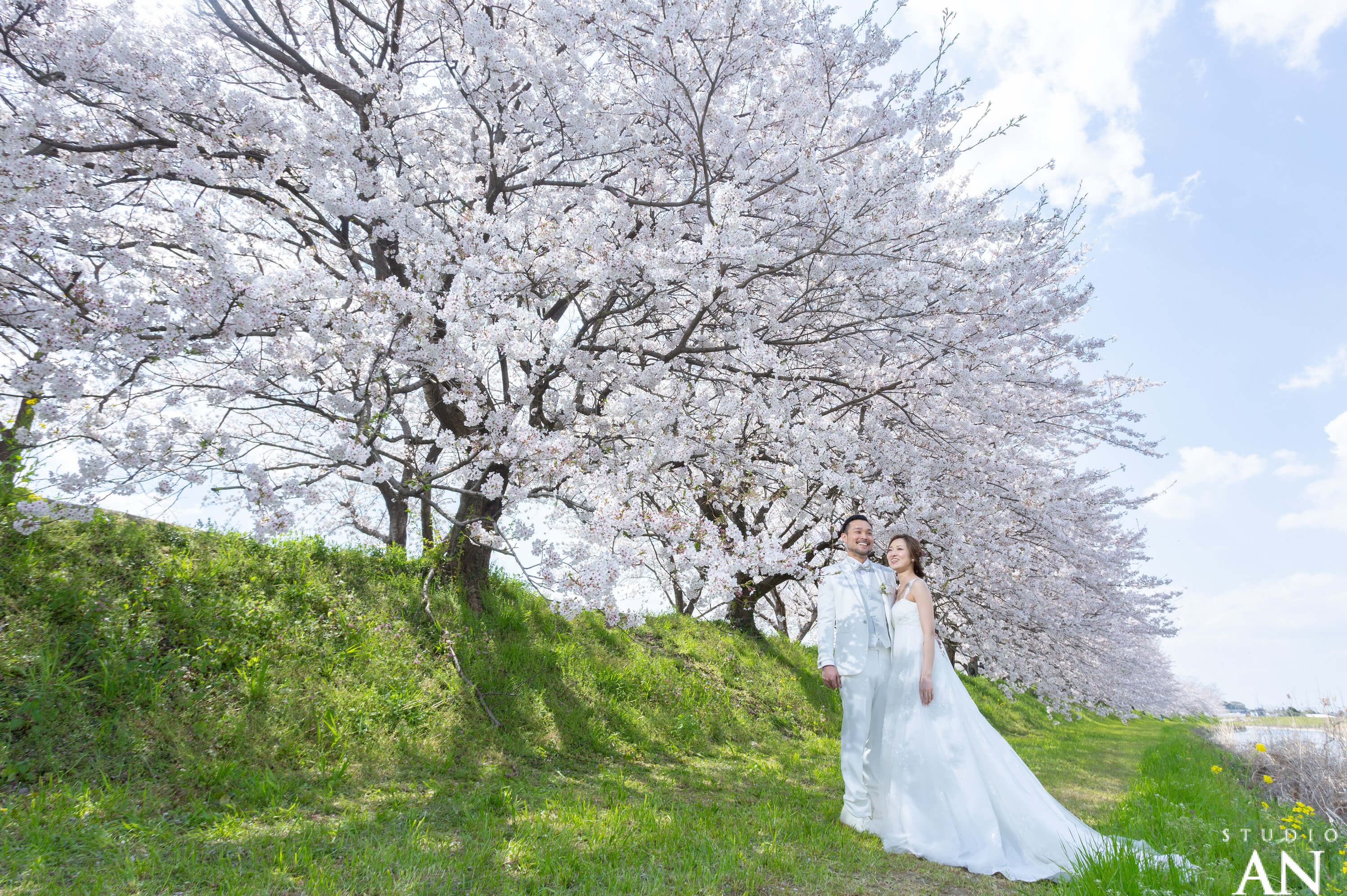 Sakura Report 2019