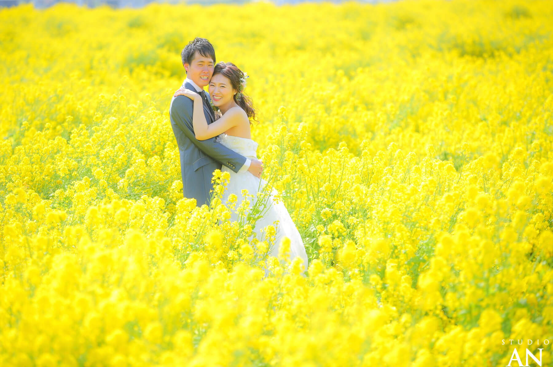 菜の花畑と海!