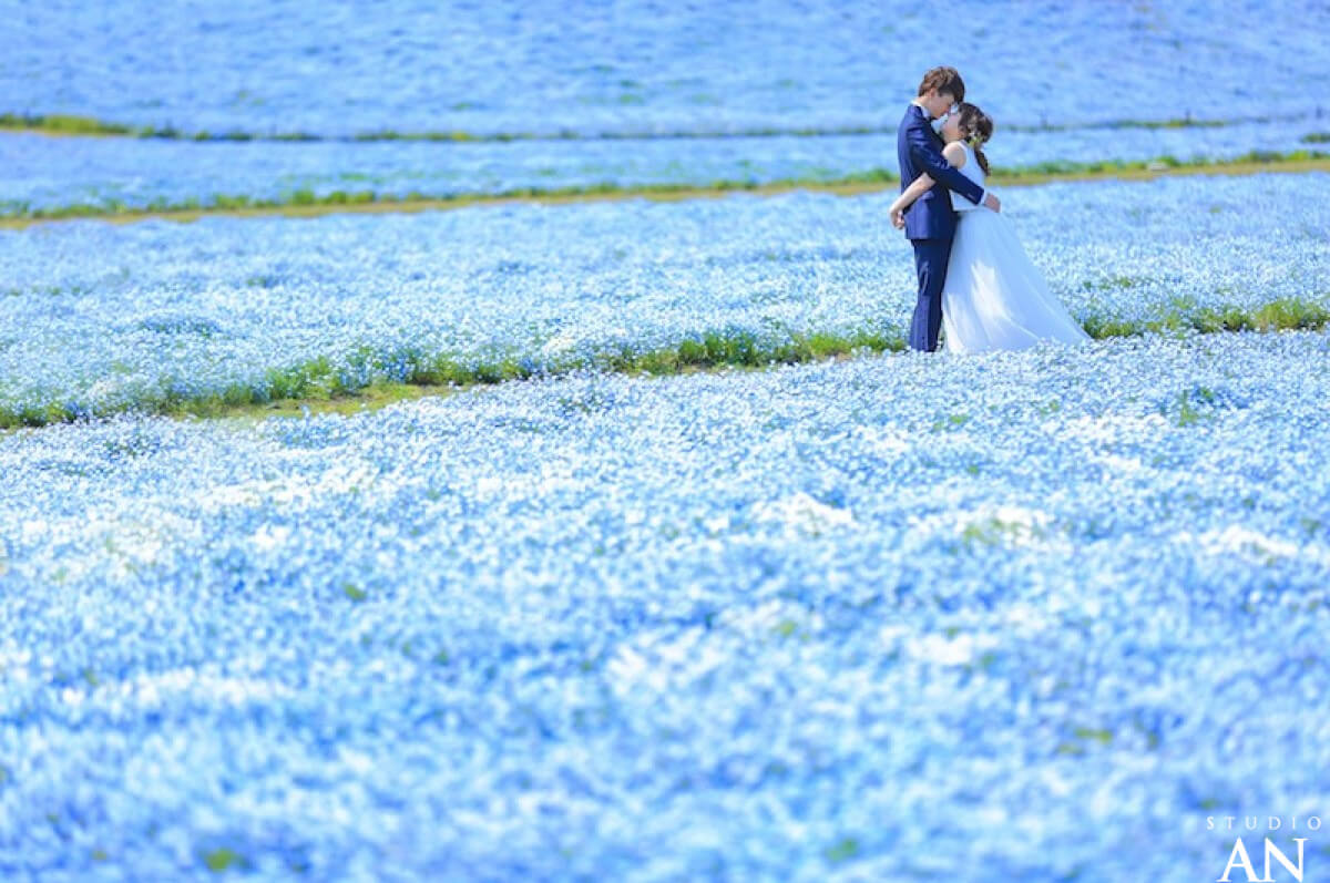 海ノ中道海浜公園